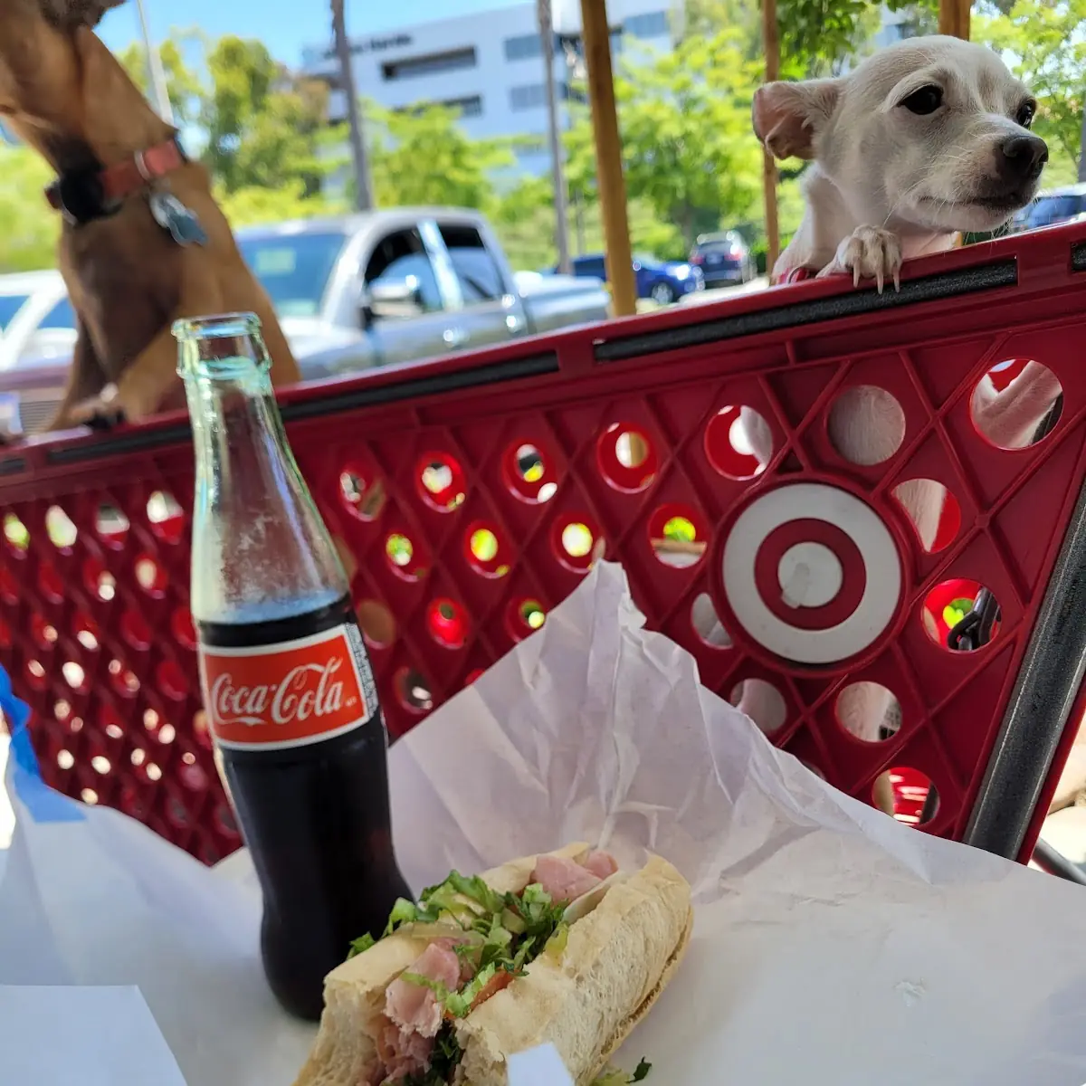 Italian Sub