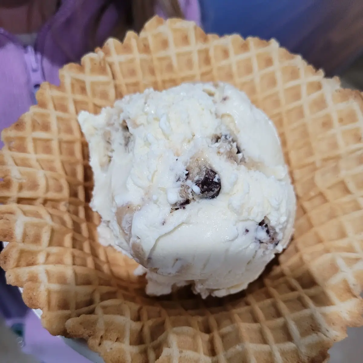 Single Scoop on Waffle Bowl