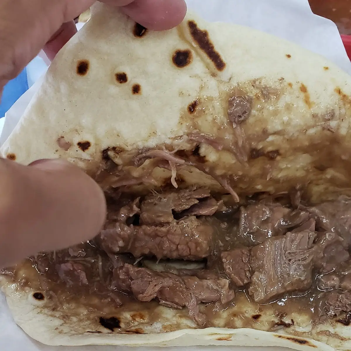 Guisada Taco