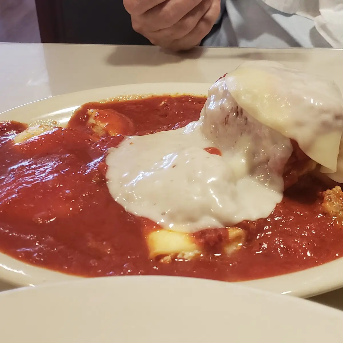 Italian Combo Lasagna Ravoli and Manicotti Dinner
