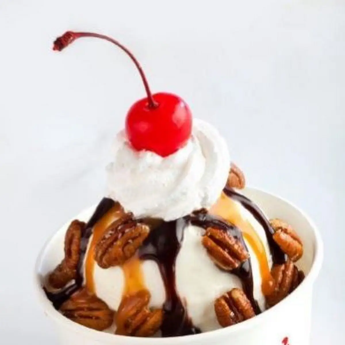 Turtle Sundae