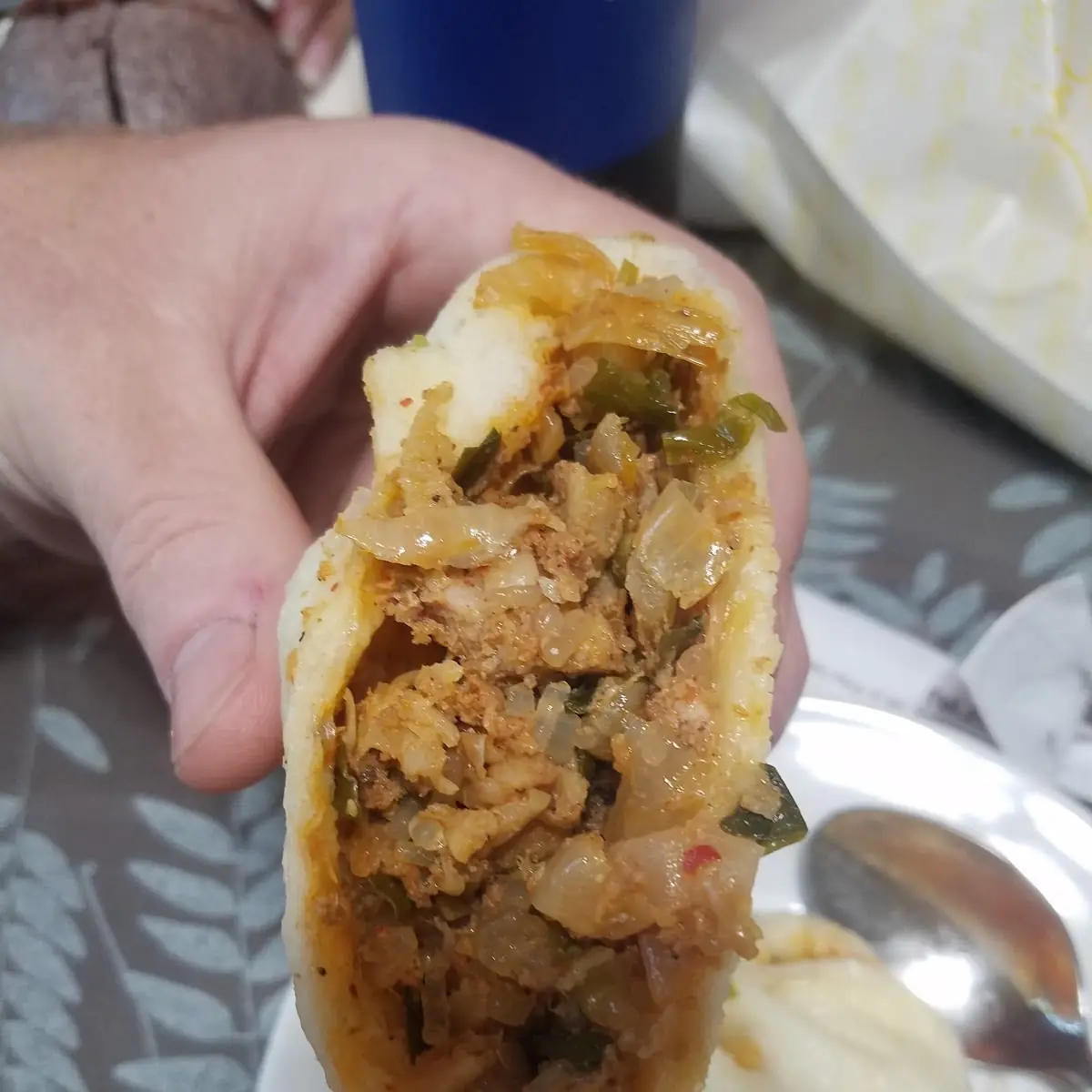 Kimchi and Pork Dumplings