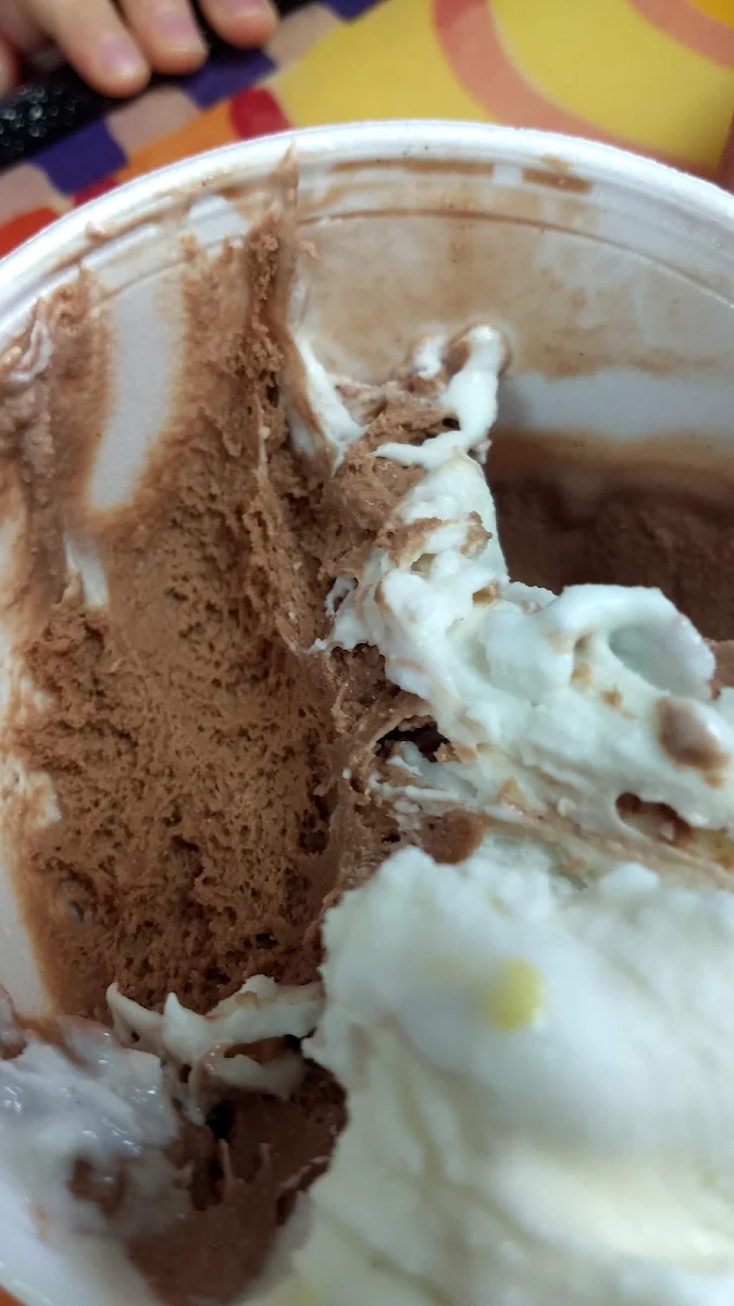 Chocolate and Vanilla Ice Cream