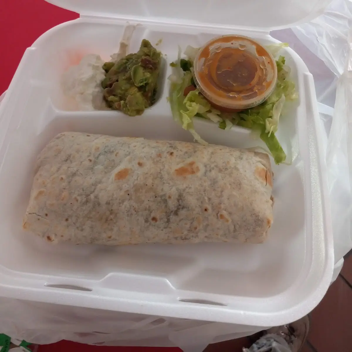 17 Carne Asada Burrito