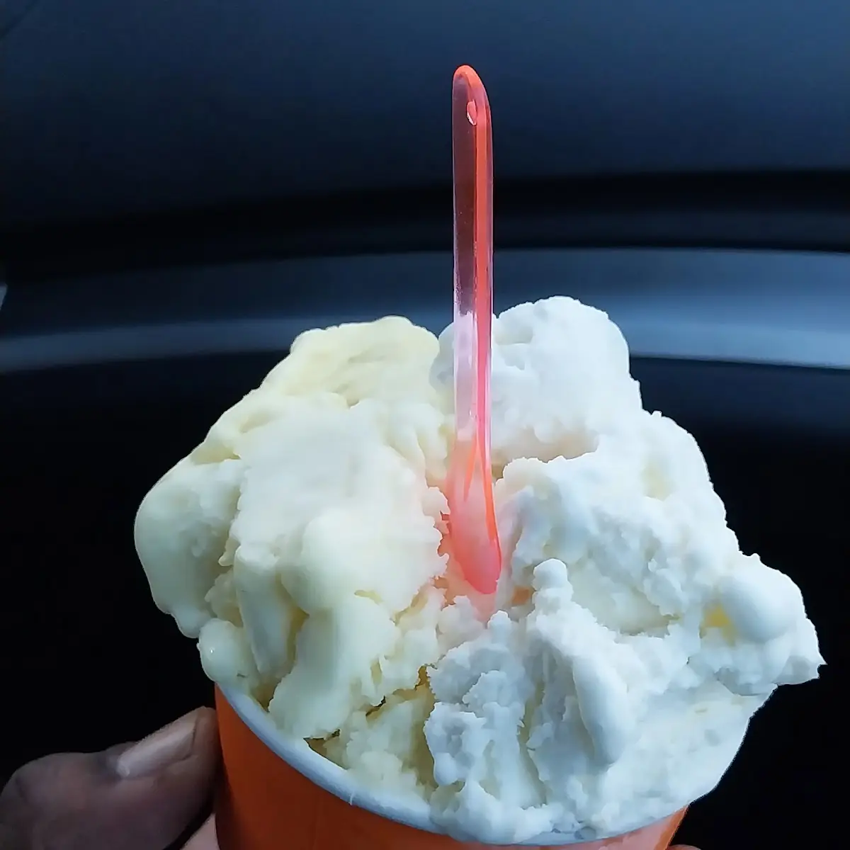Coconut Pineapple & Vanilla Ice Cream