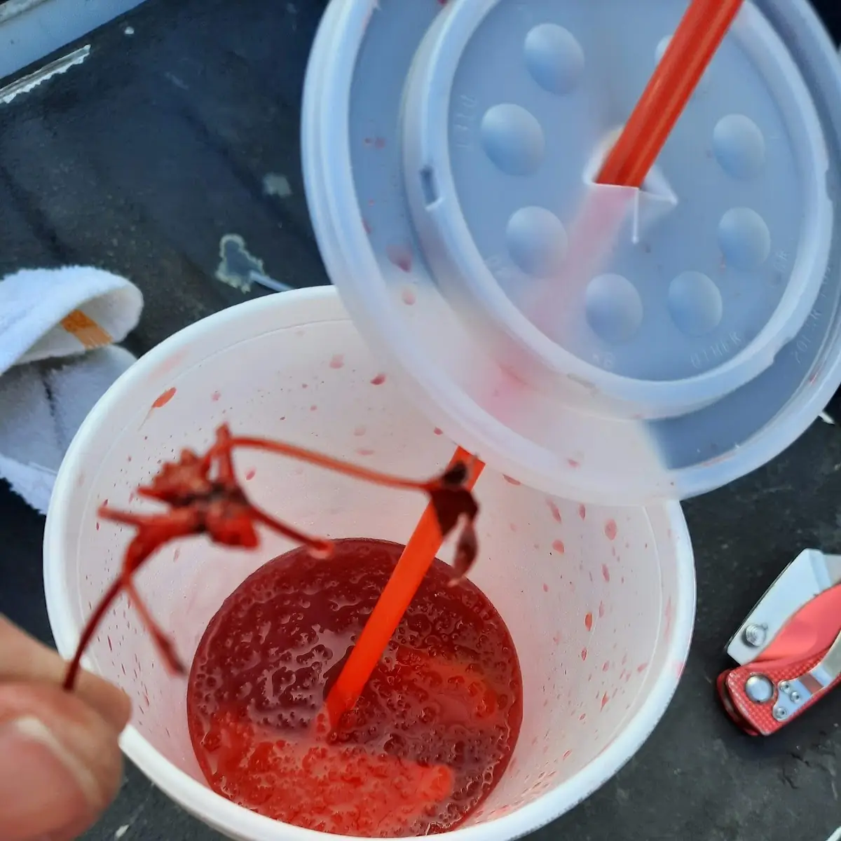 Cherry Limeade Slush with Extra Eeew