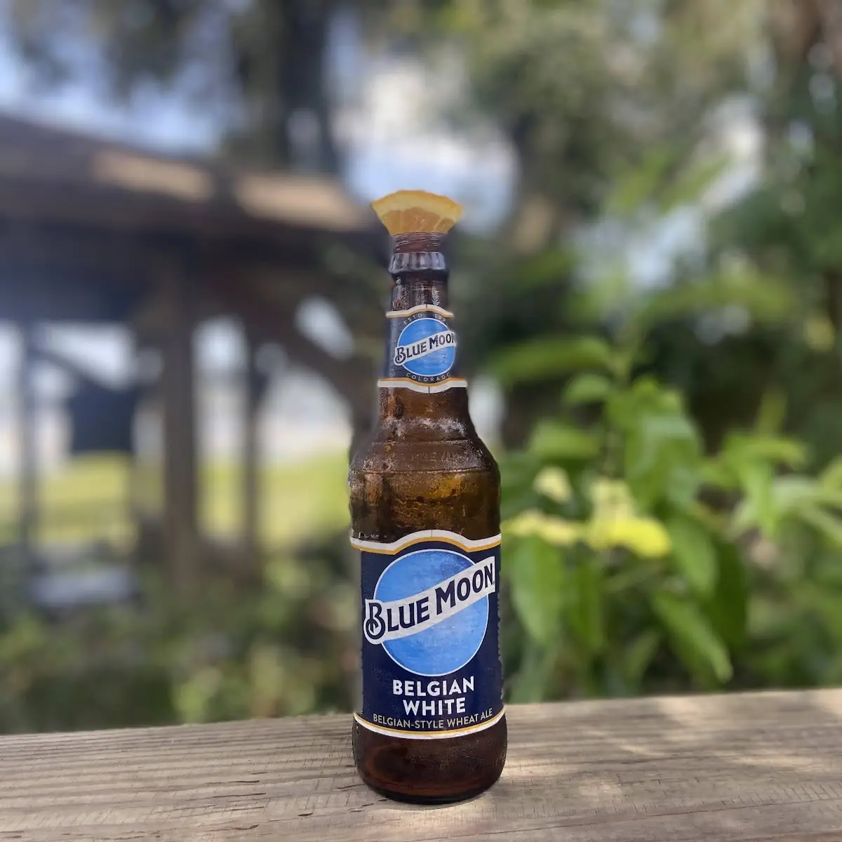Blue Moon Belgian White