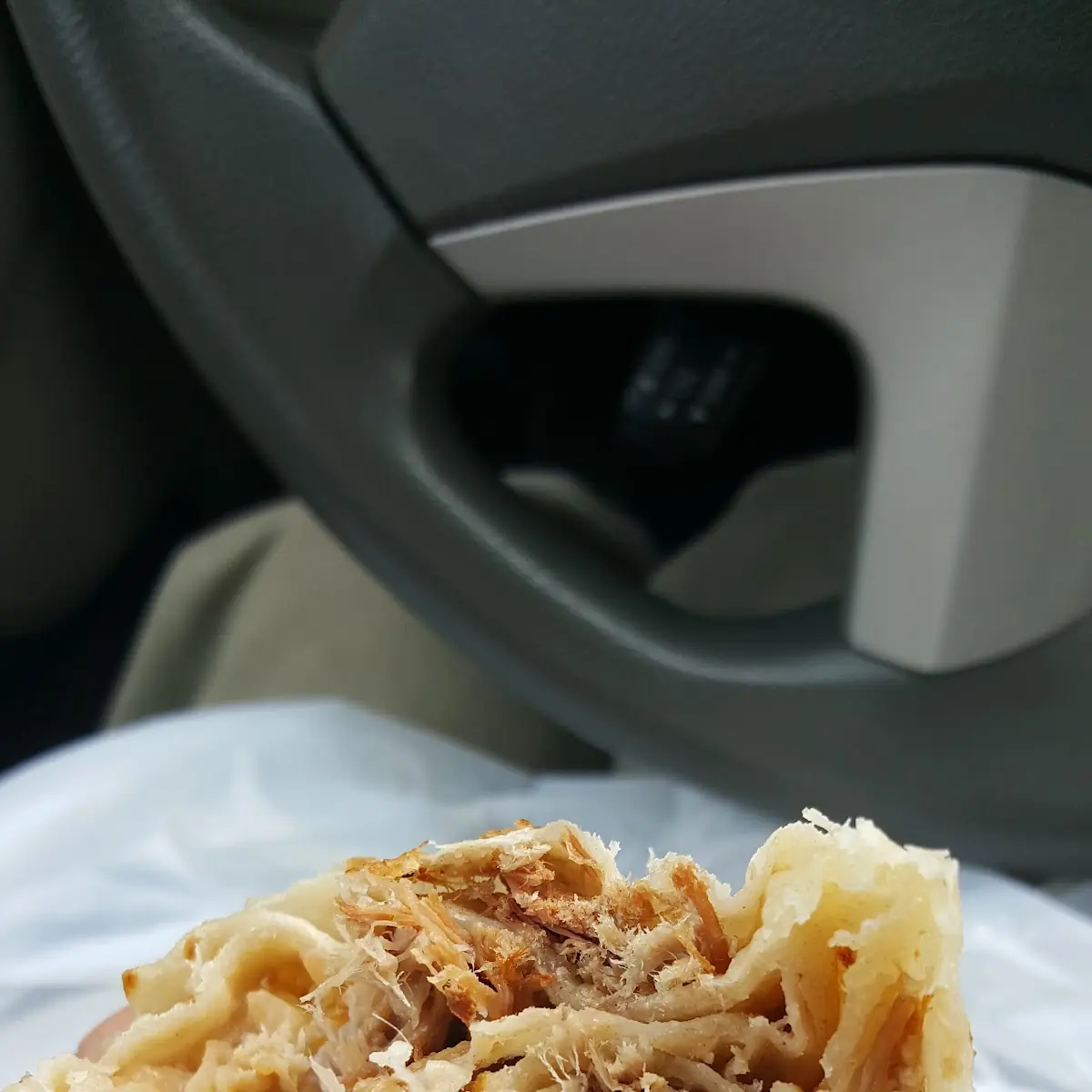 Carnitas Burrito