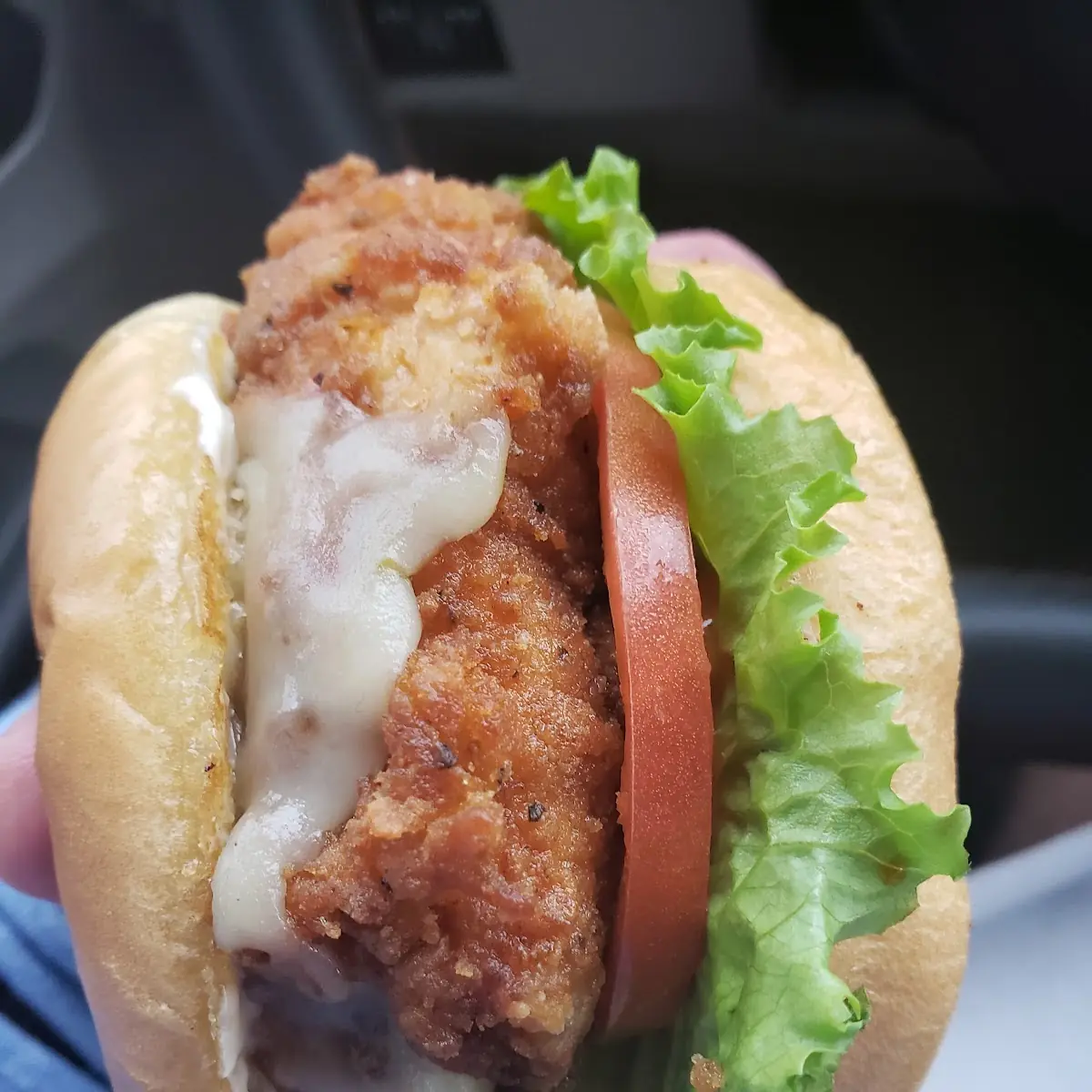 Spicy Chicken Sandwich