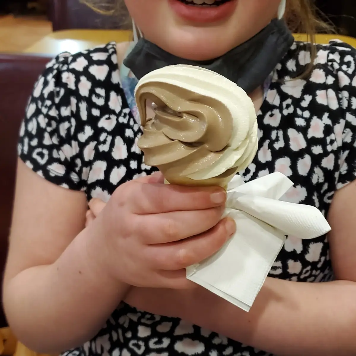 Swirl Ice Cream Cone