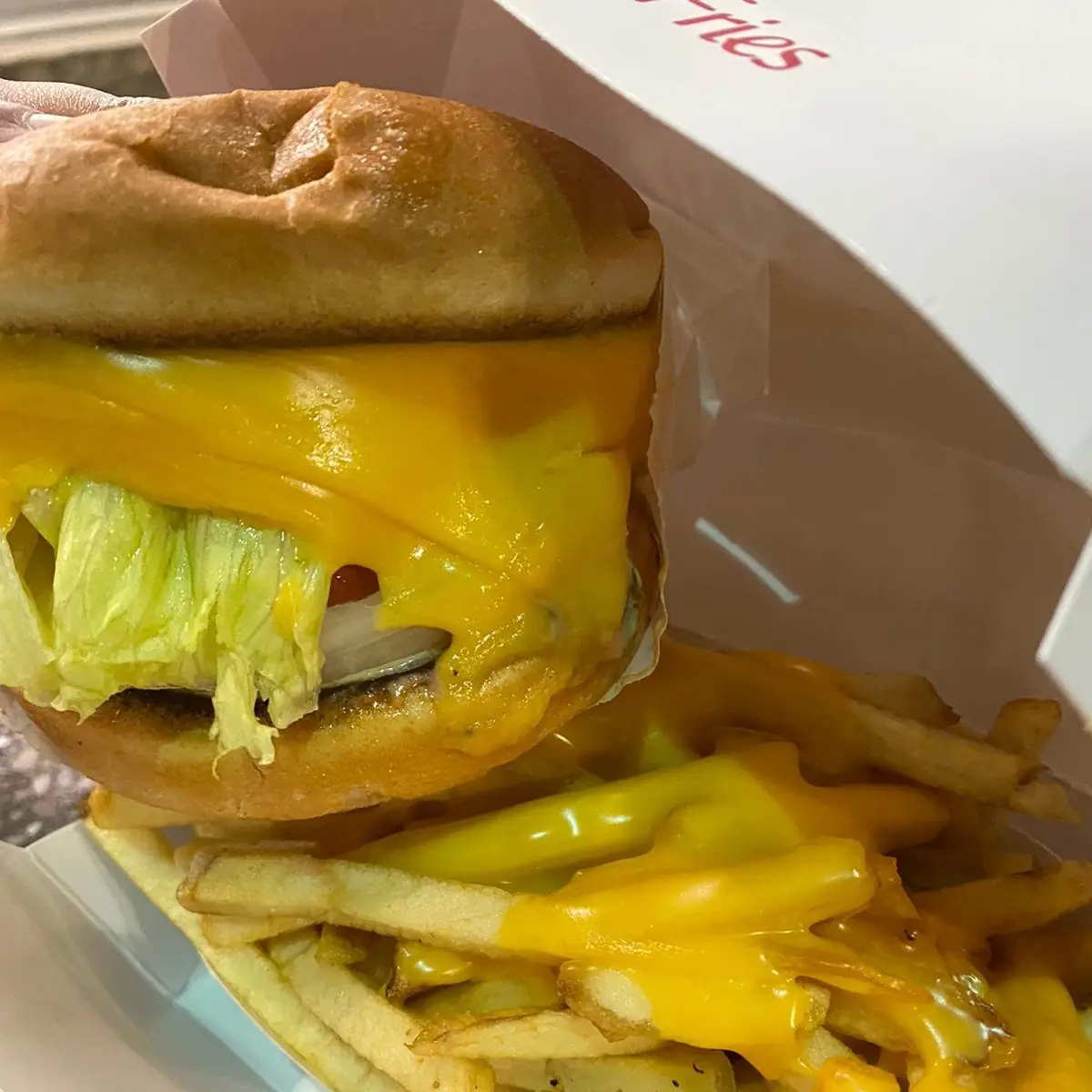 Veggie Burger with Cheesy Fries