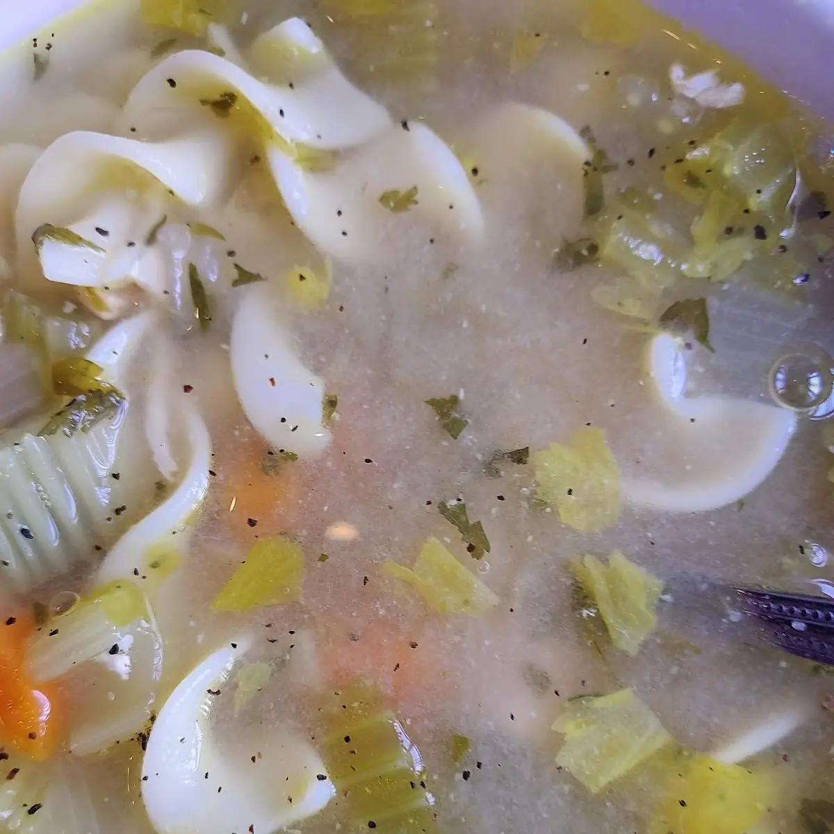 Home Made Chicken Noodle Soup