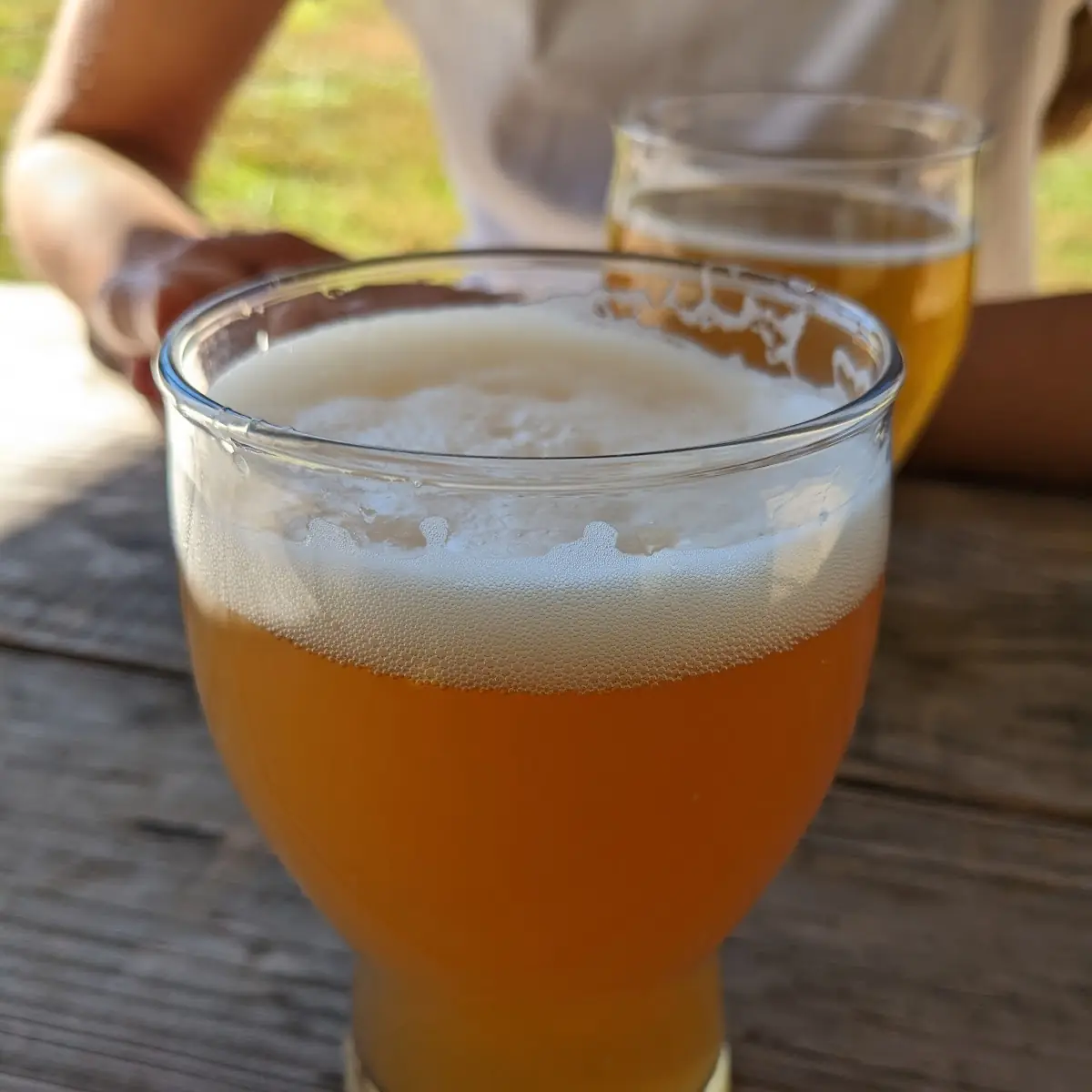 Quail- Pale Ale