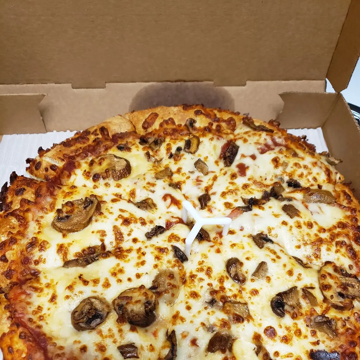 Veggie Pizza with Extra Cheese and Extra Mushrooms
