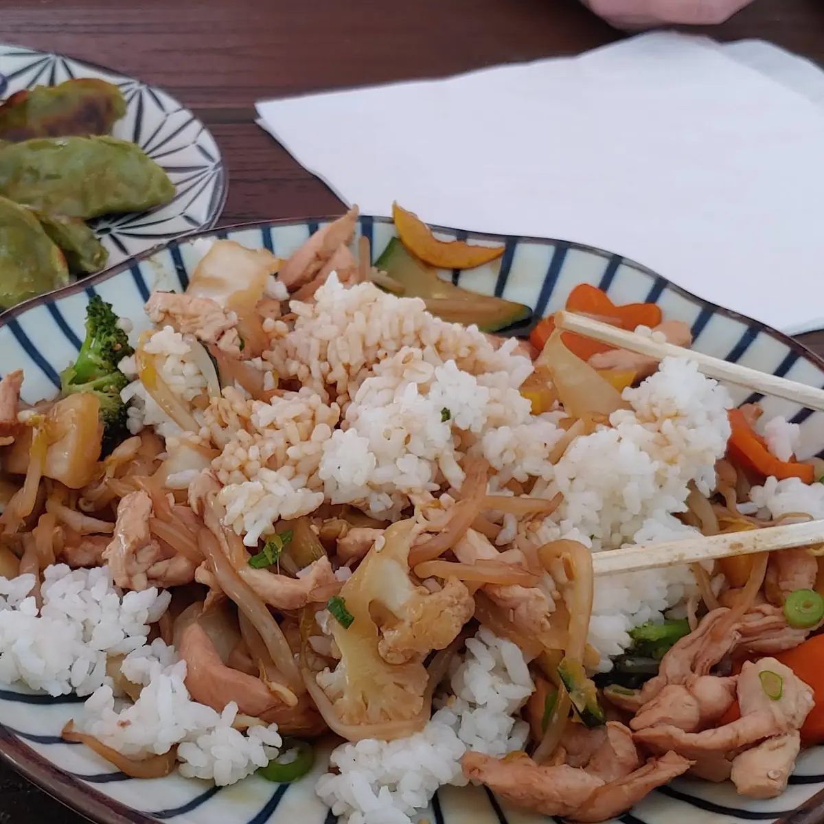 Teriyaki Dinner with Veggie Gyoza Dumplings