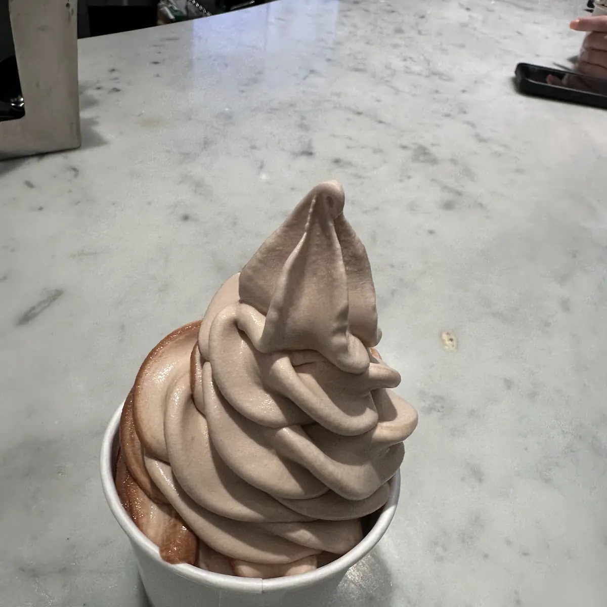 Vanilla Chocolate Ice Cream