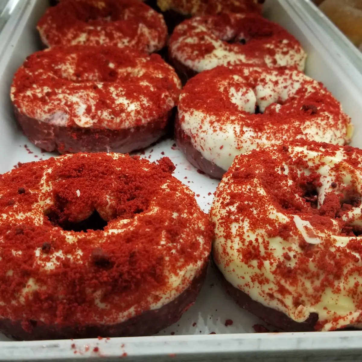 Doughnut