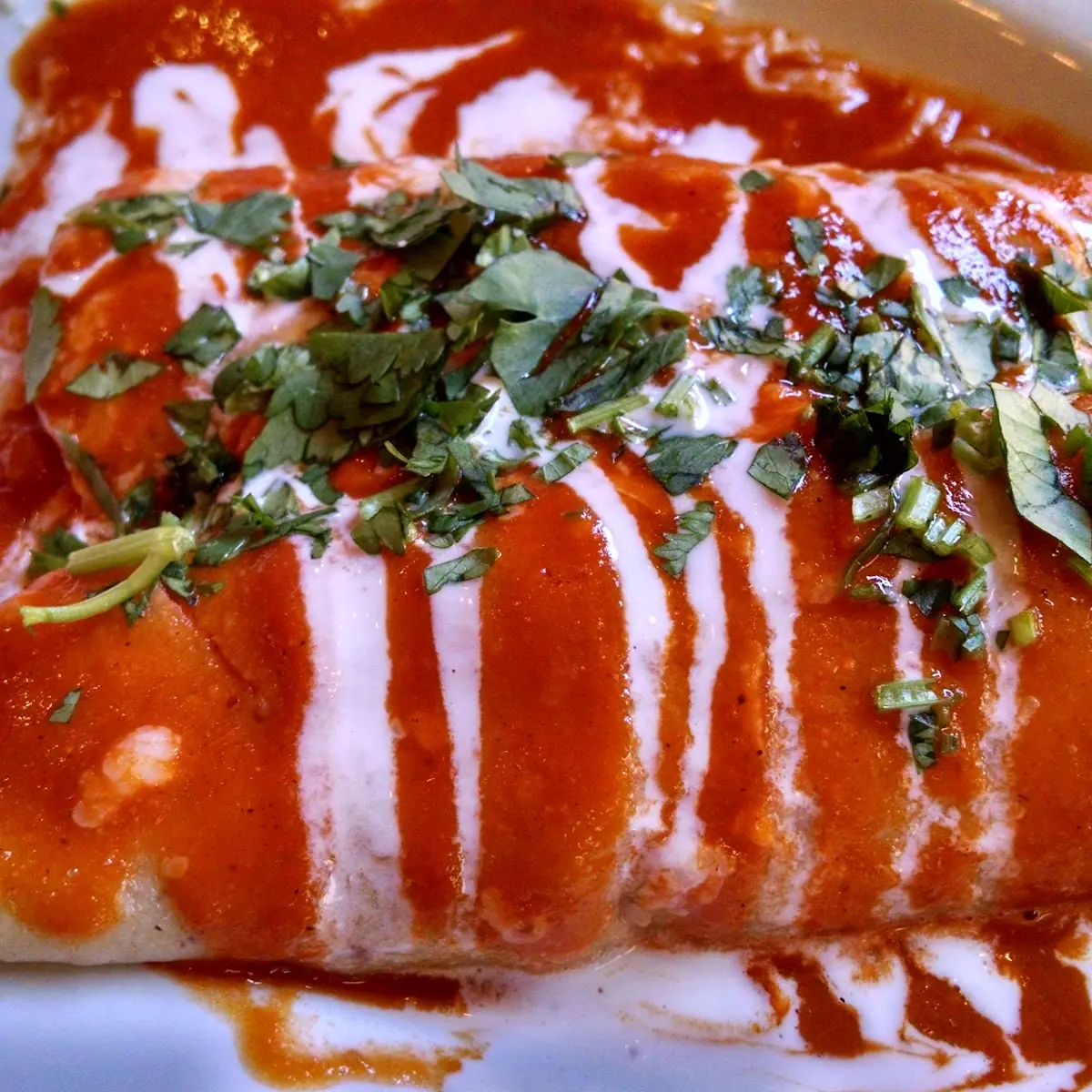 Quesadilla de Mole Amarillo