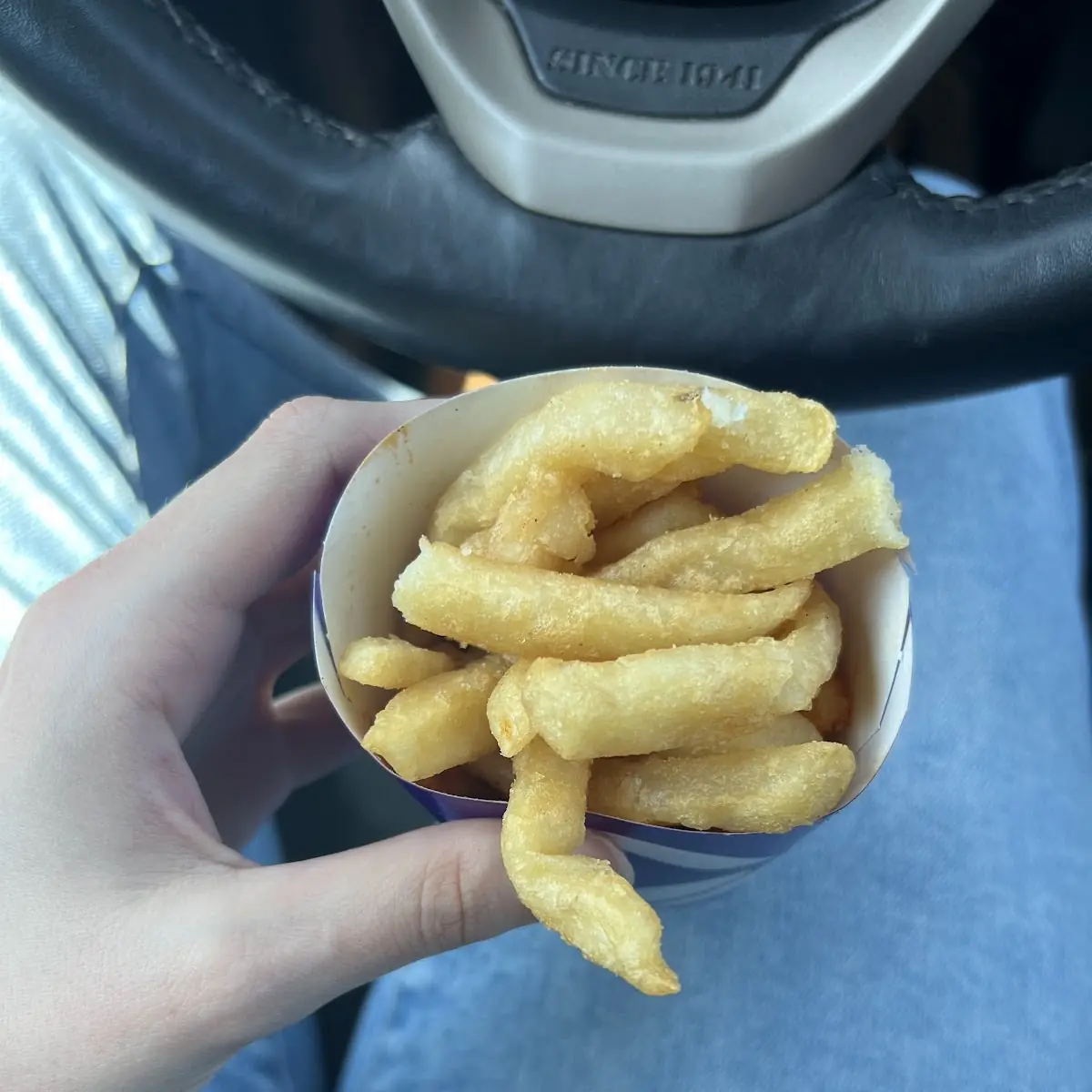 Nacho Fries