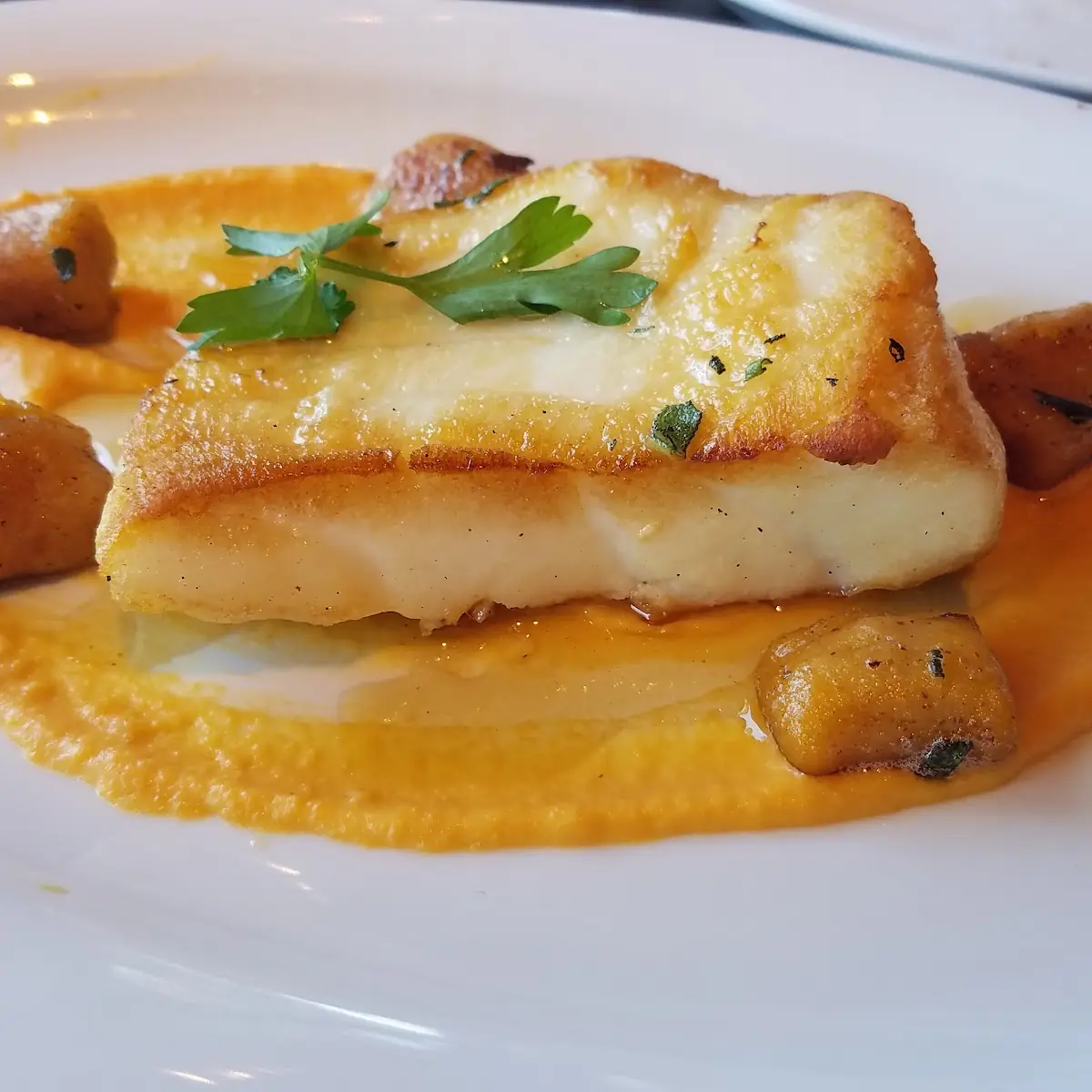 Sea Bass