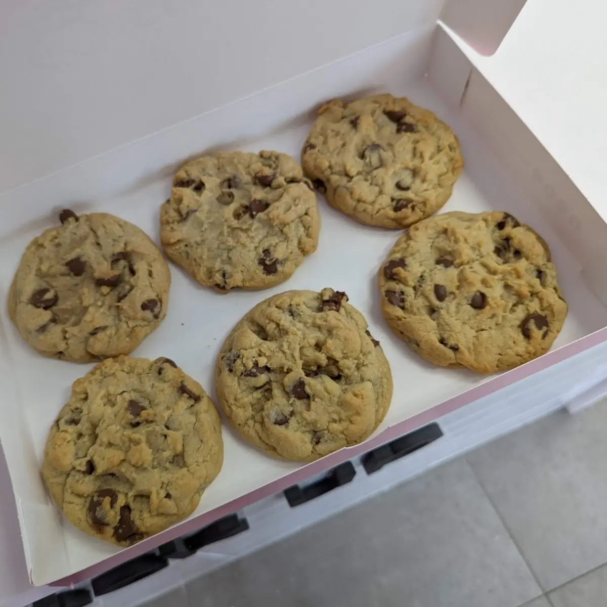6 Pack Chocolate Chip Cookies