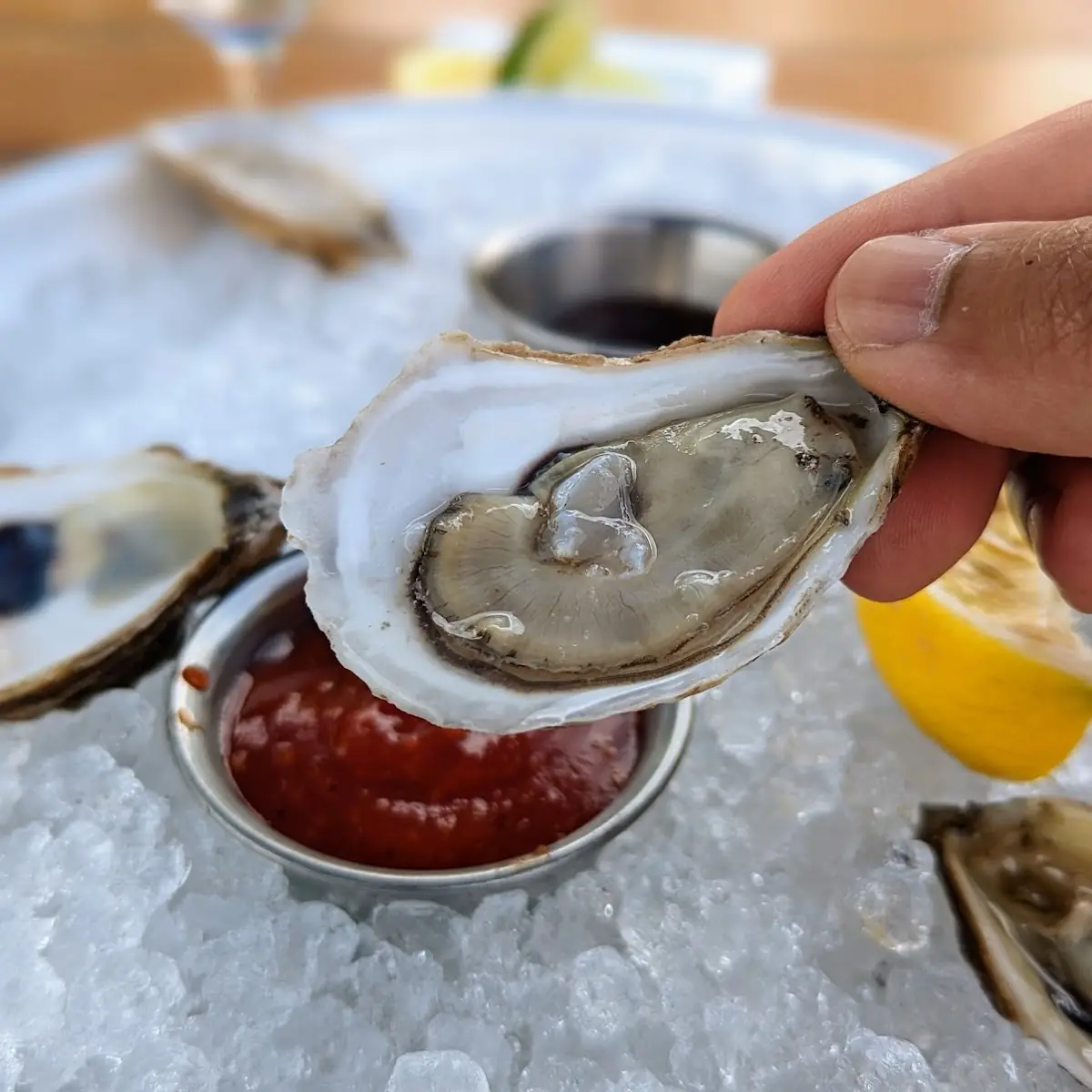 Oysters on the Half Shell