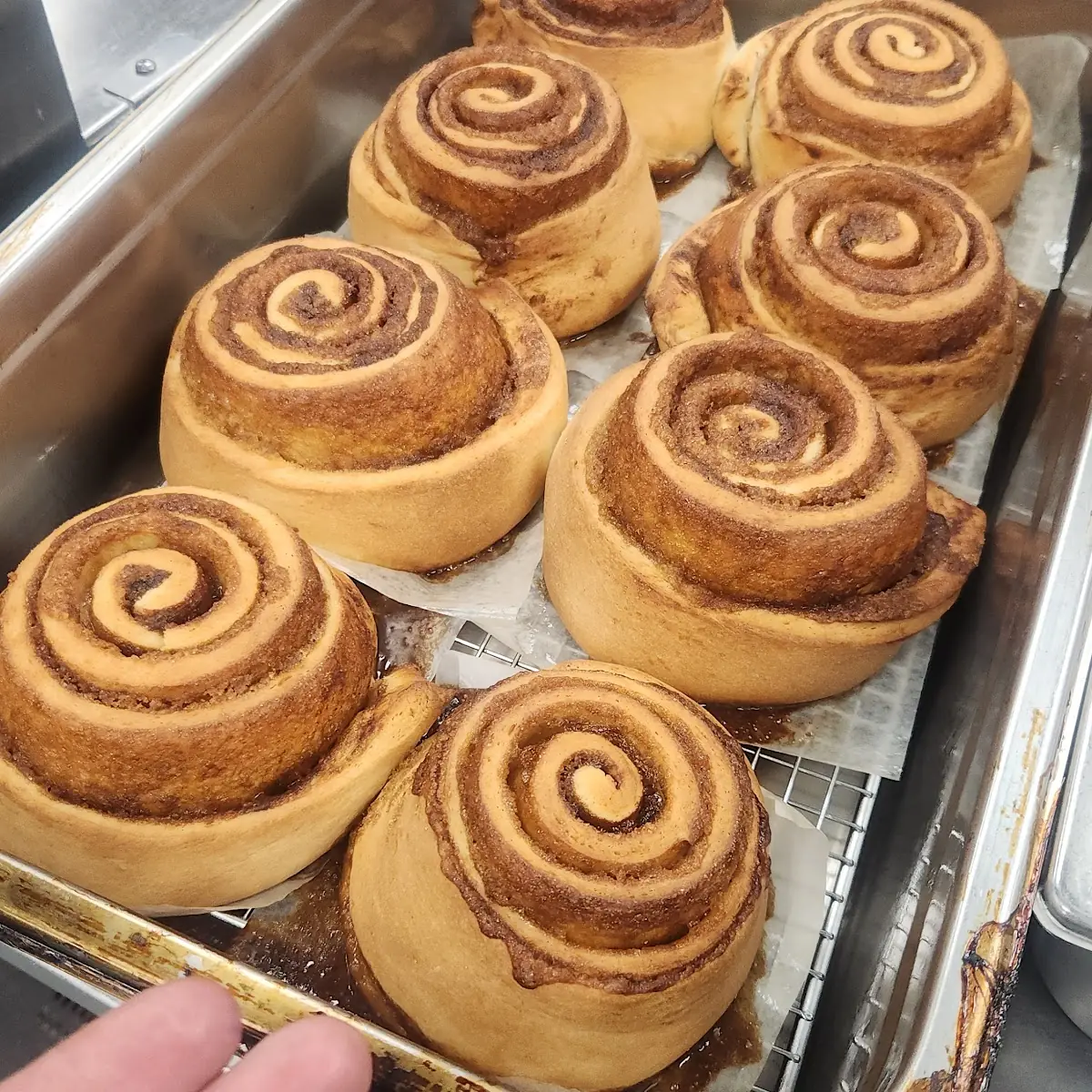 Cinnamon Roll