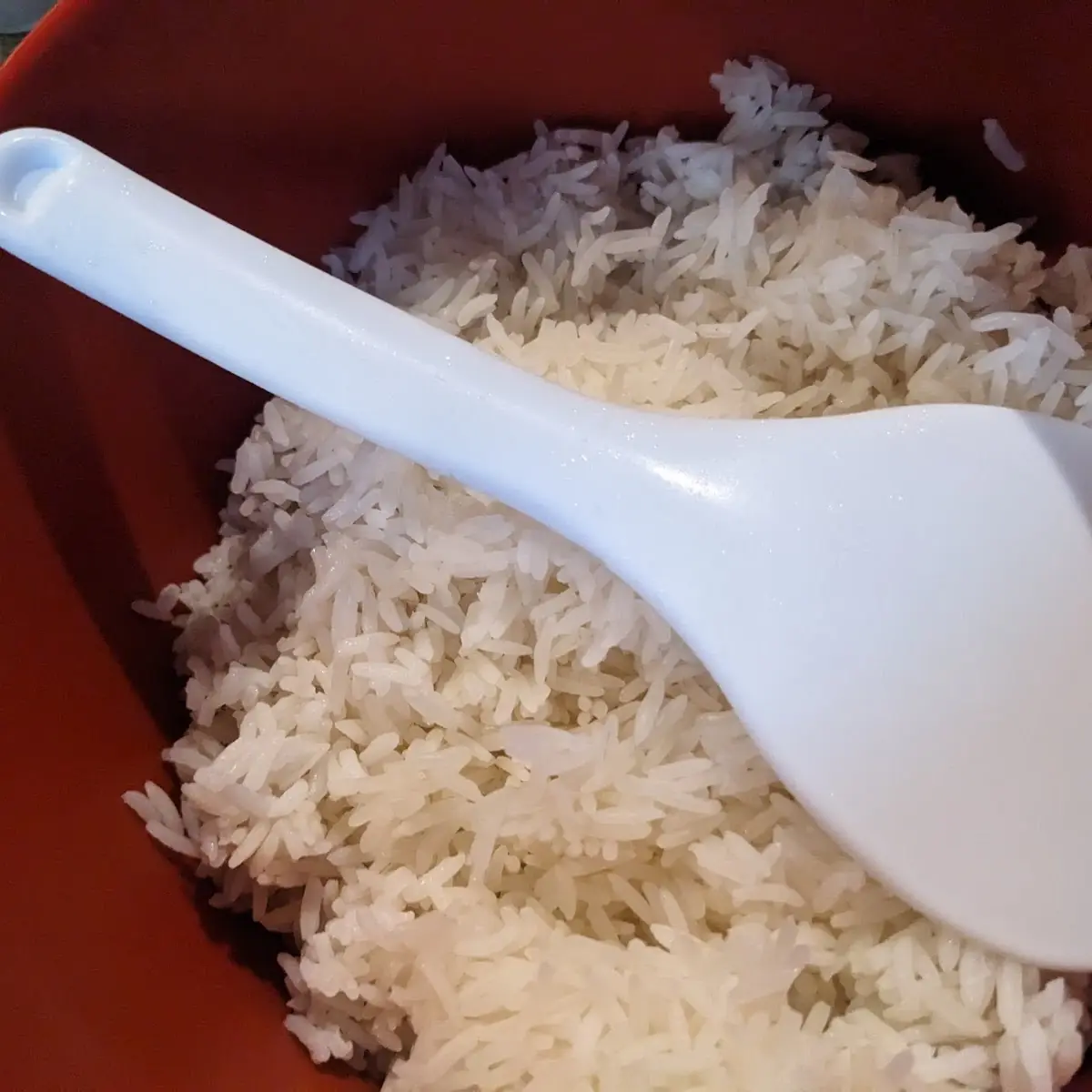 Side of White Rice