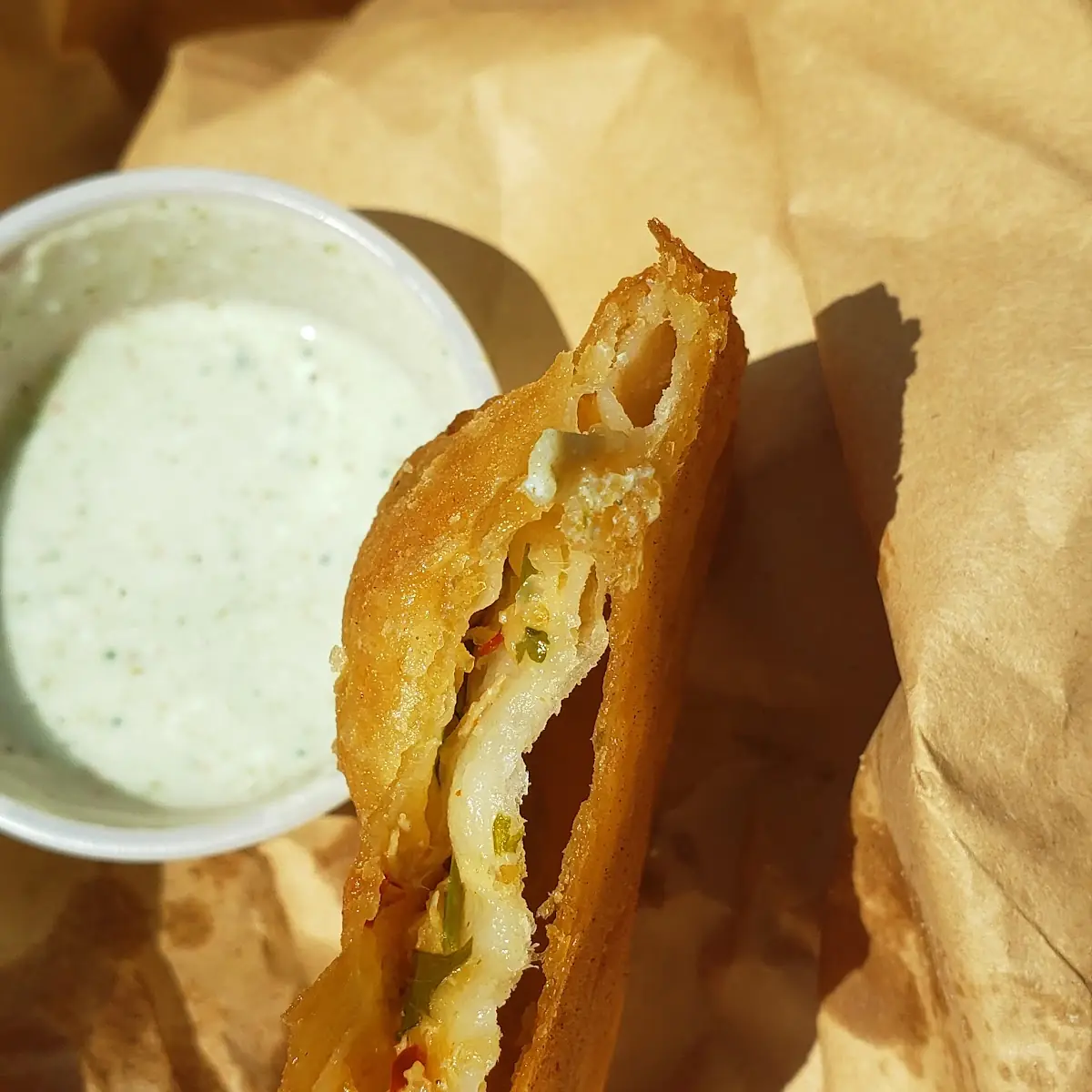 Chicken Samosa