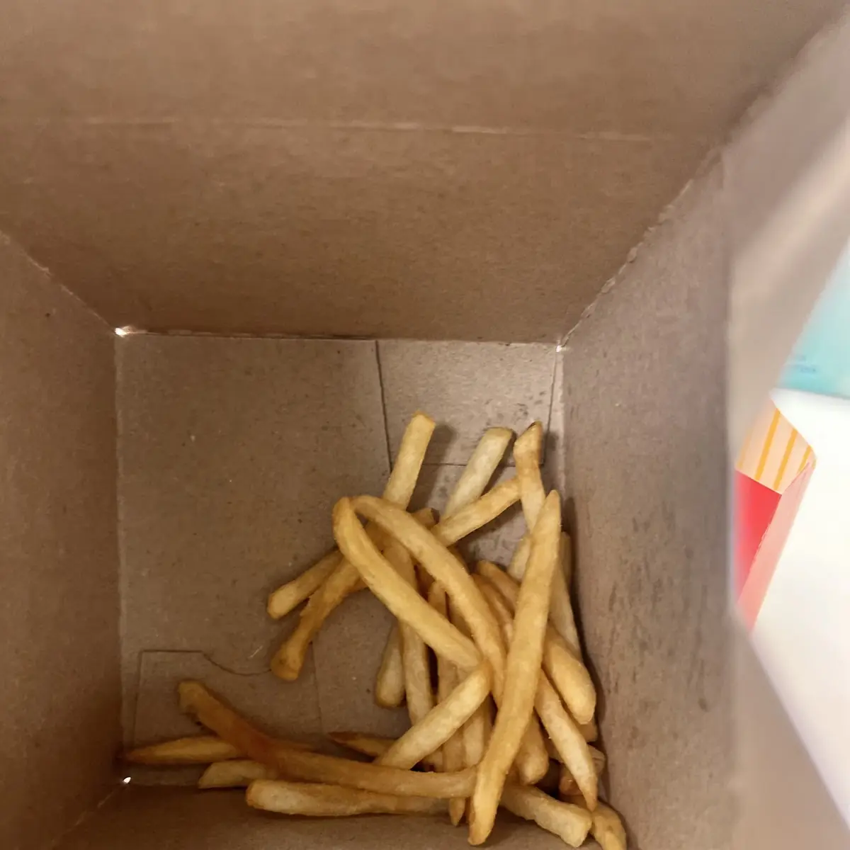 World Famous Fries