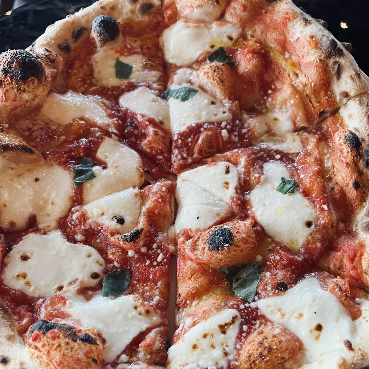 Calabrese Salami Pizza