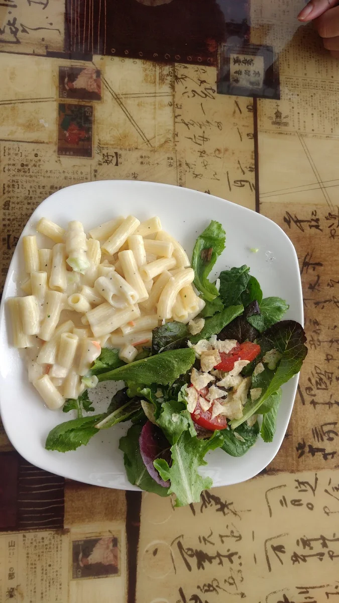 Cashew Cheese and Penne Pasta