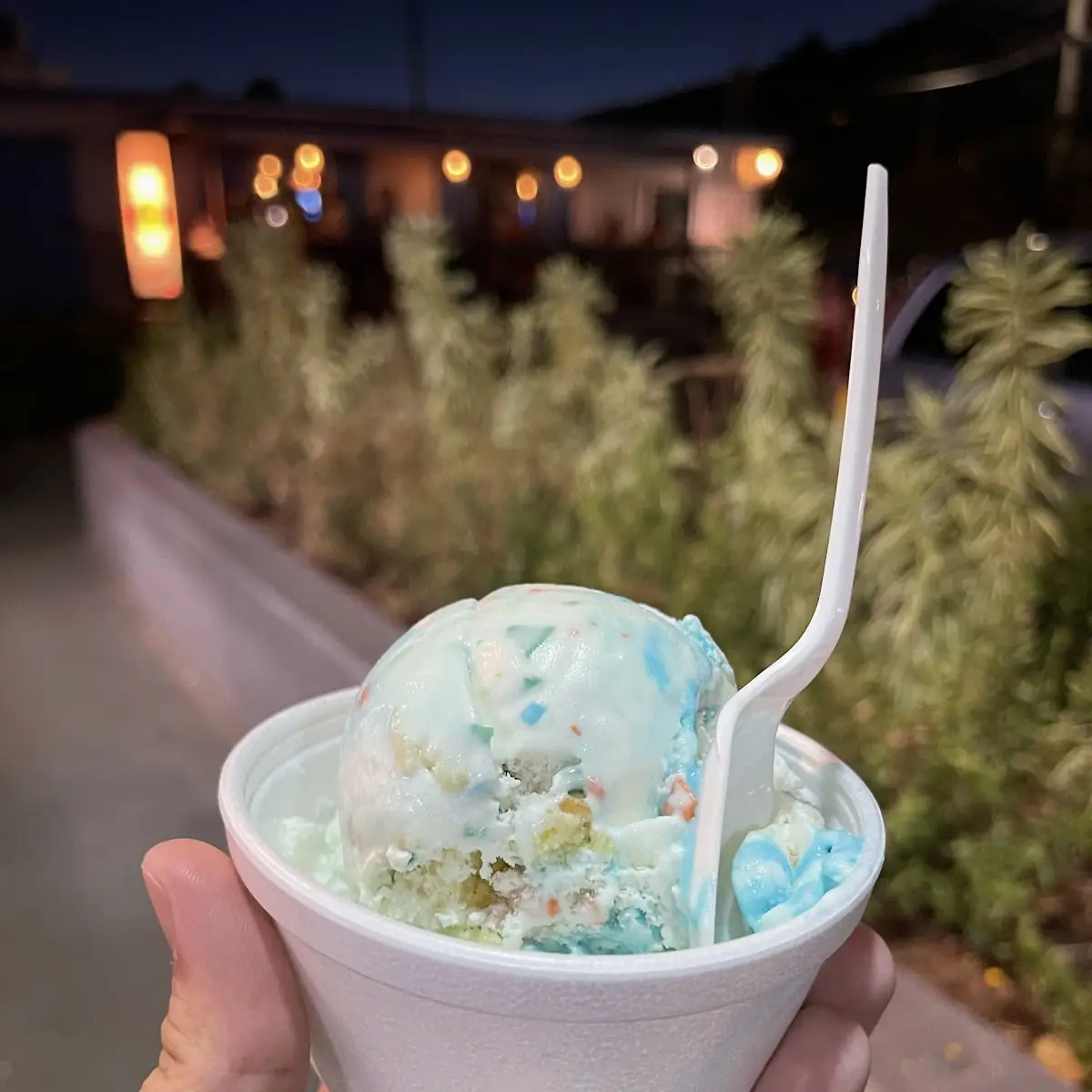 Birthday Cake Ice Cream