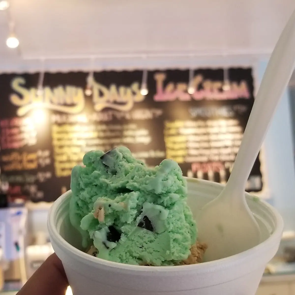 Mint Chocolate Chip Ice Cream