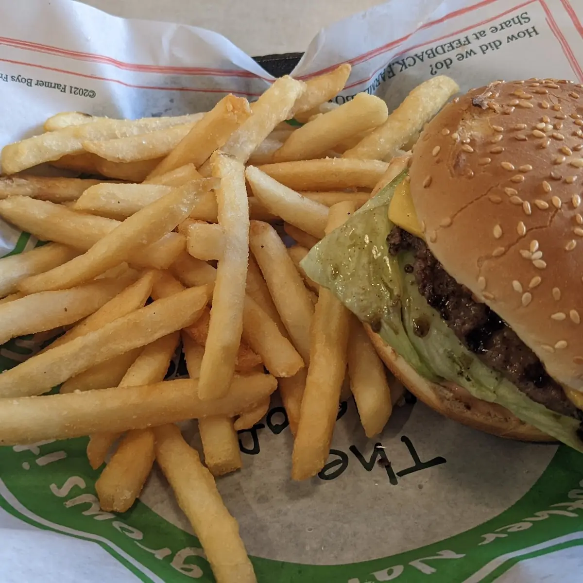 Cheese Burger and Fries
