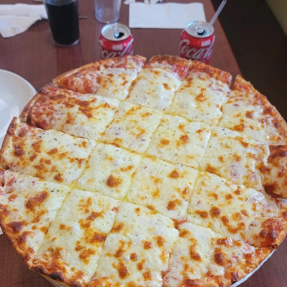 Extra Cheese Pizza