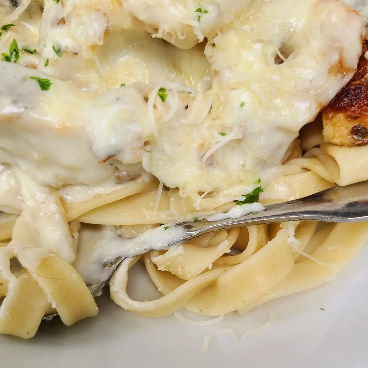 Chicken Alfredo