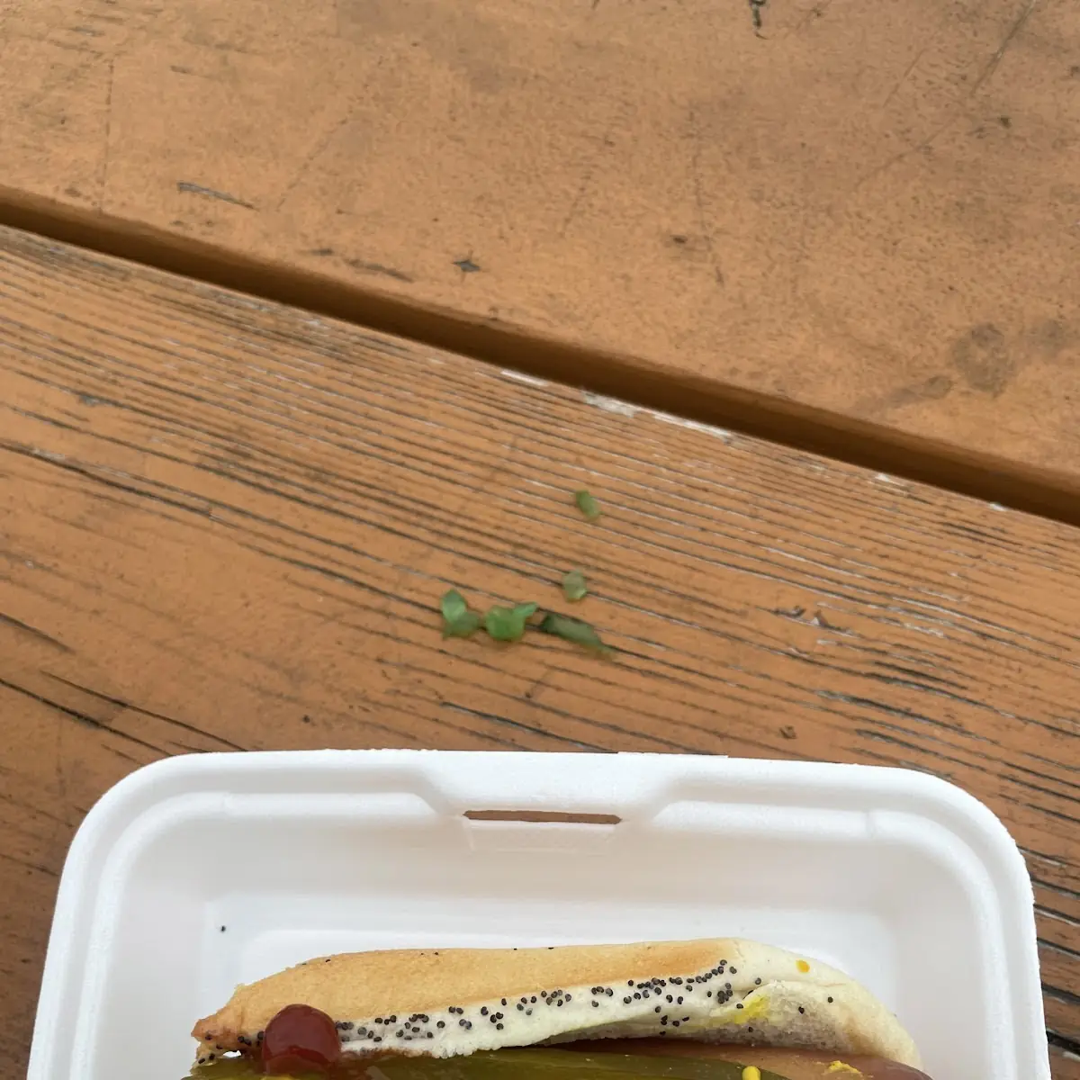 Chicago Style Hot Dog