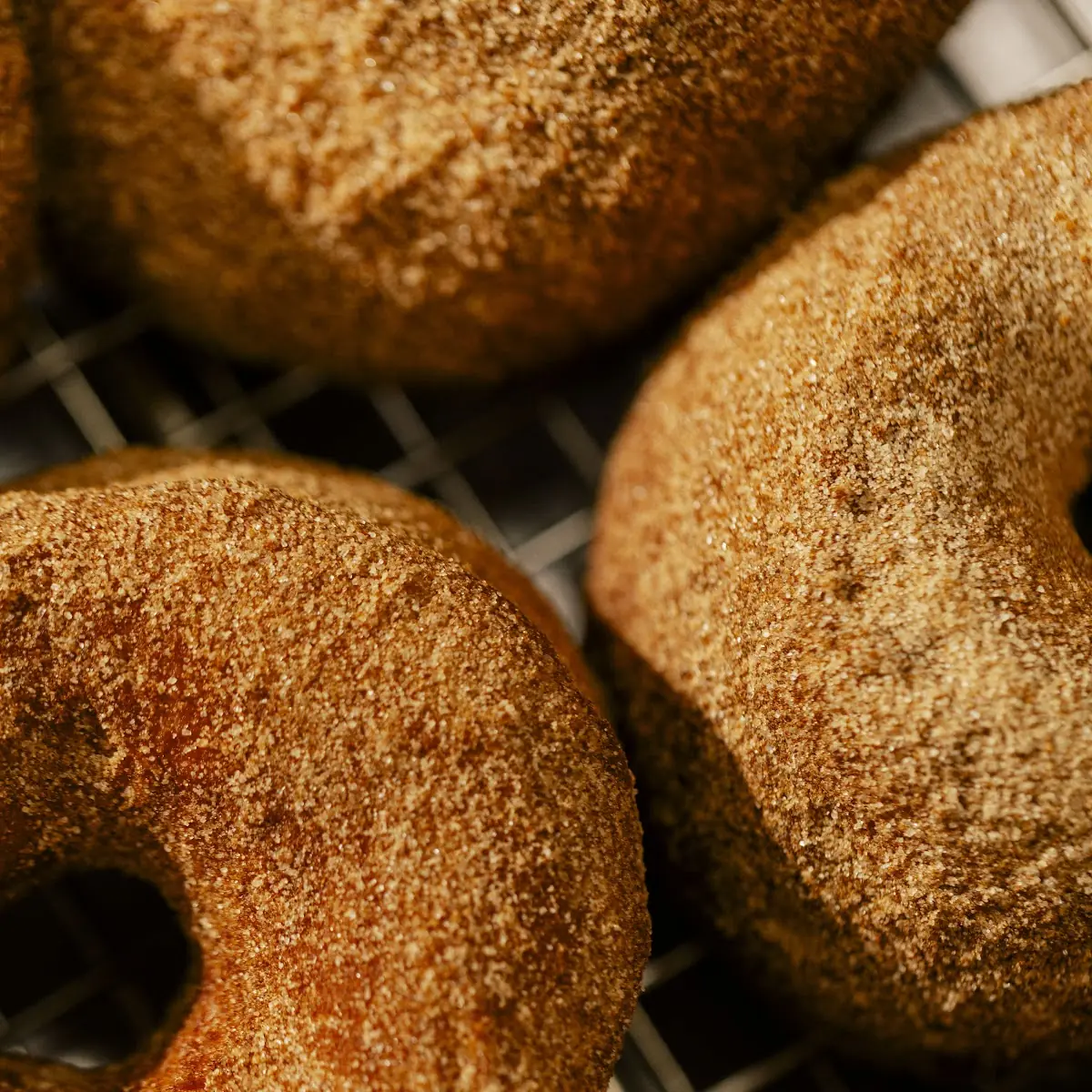 Cinnamon Sugar Donut