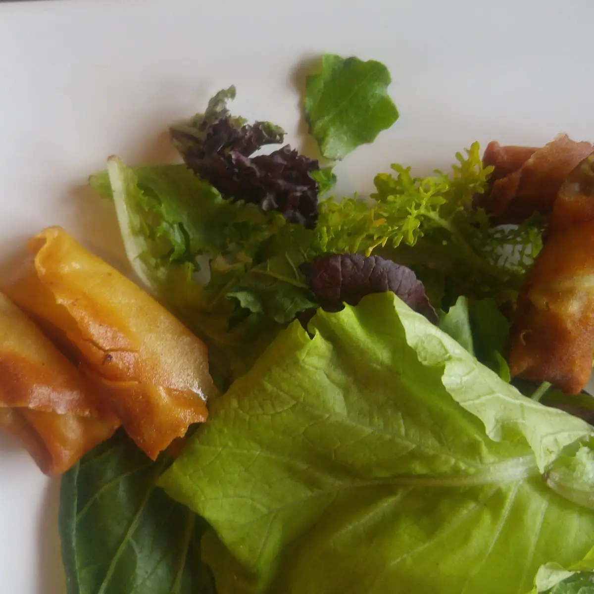 Spring Rolls