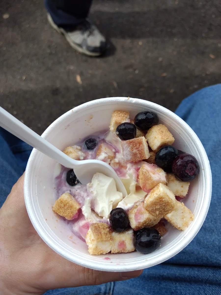 Blueberry Cheesecake Custard