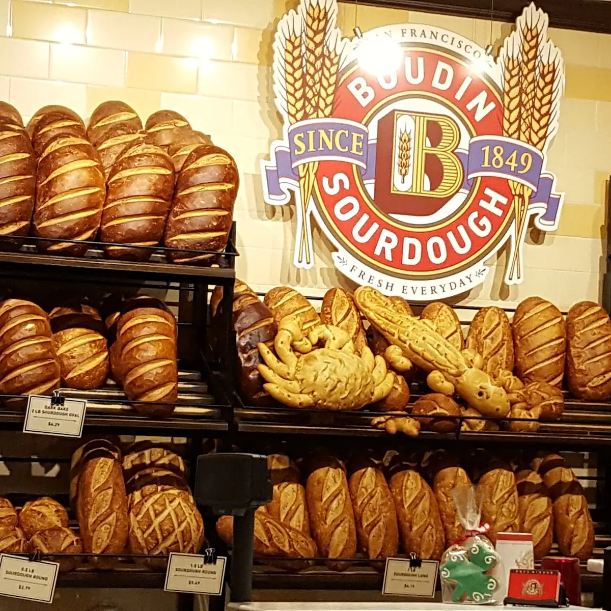 Fresh Sourdough Bread Loaves