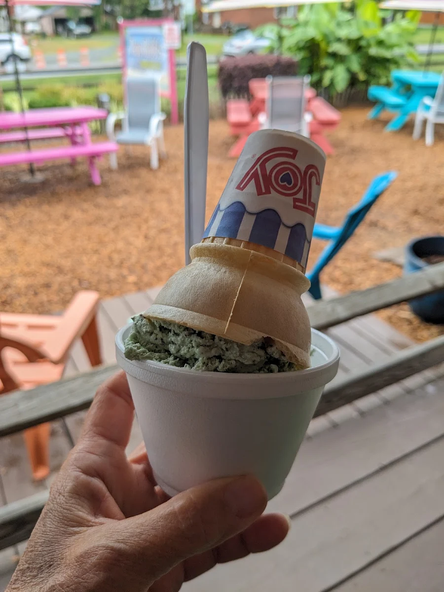 Mint Chocolate Chip Small in a Cup with a Cone on Top
