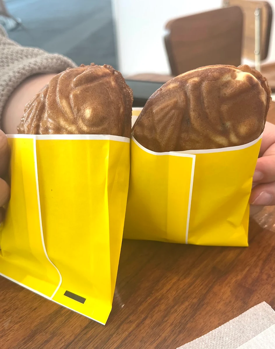 Chocolate Ice Cream