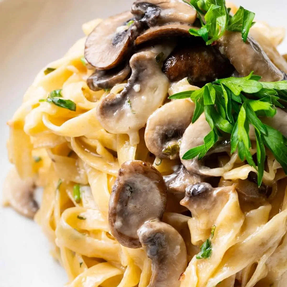 Fettuccine Alfredo