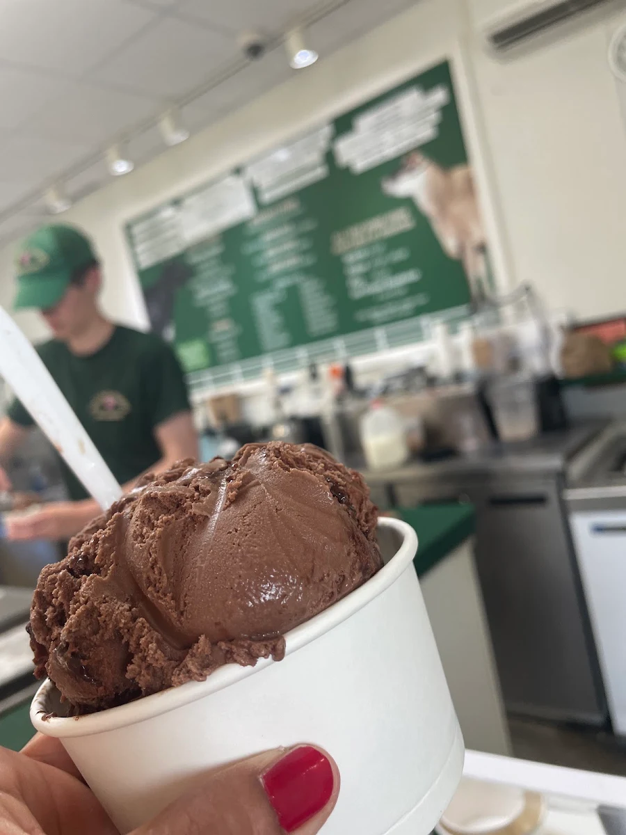 Chocolate Ice Cream