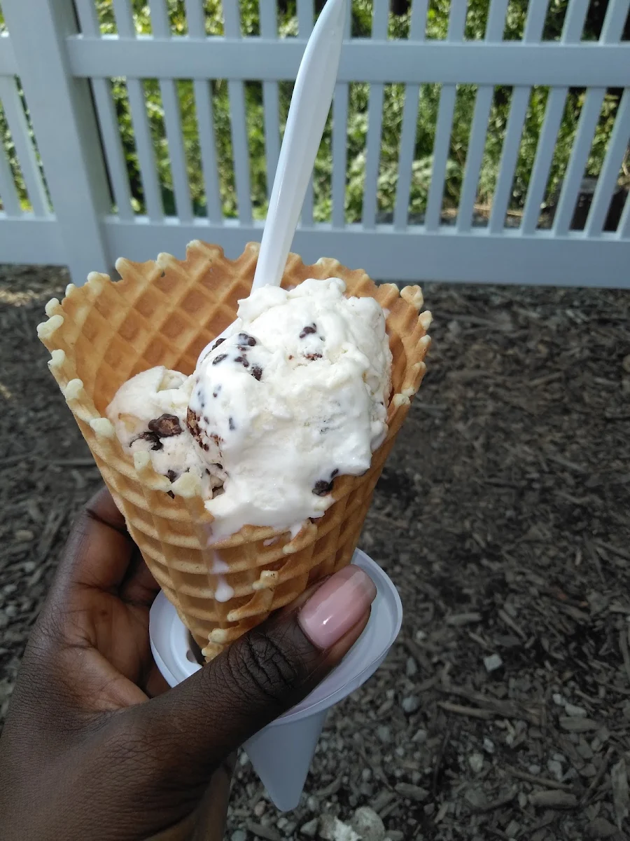 Coconut Ice Cream Cone