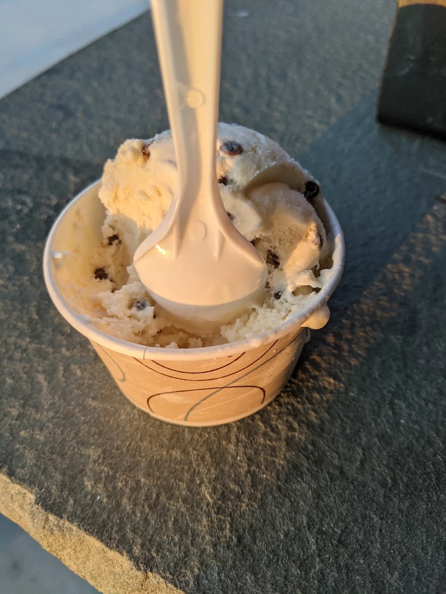 Low Carb Chocolate Chip