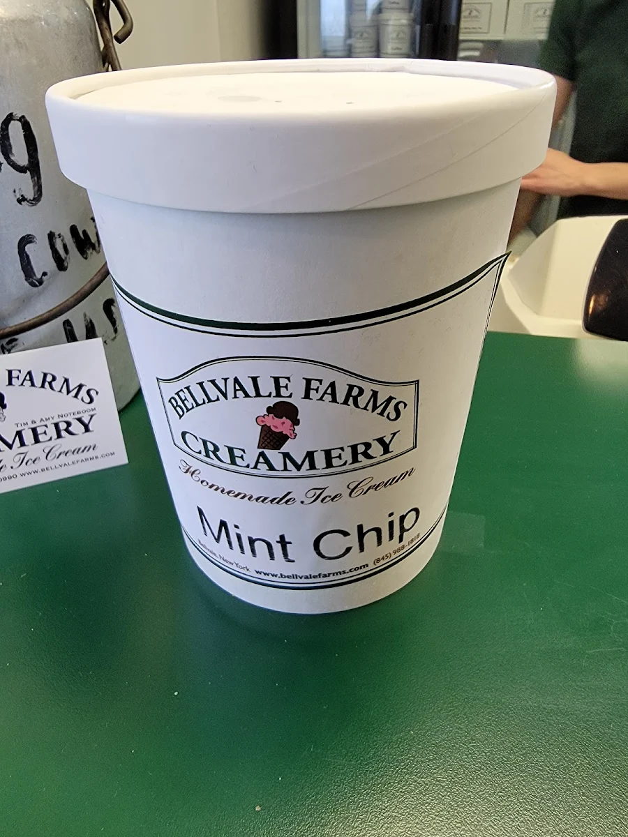 Mint Chocolate Chip Pint