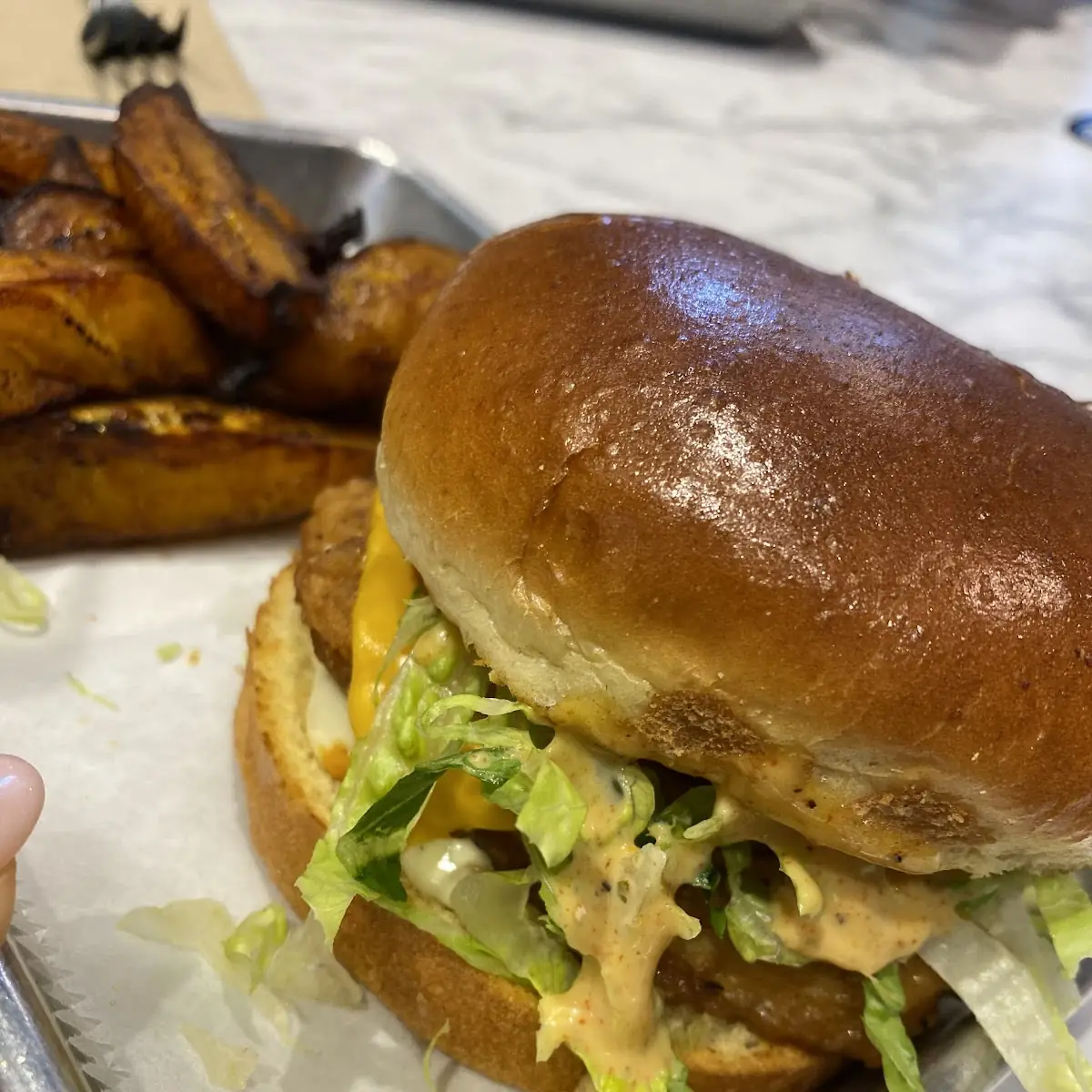 Chicken Sandwich